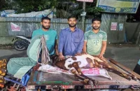 পিরোজপুরে ভুল চিকিৎসায় চার গর্ভবতী ছাগলের মৃত্যু