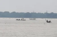 পায়রায় মা-ইলিশ নিধনের মহোৎসব, প্রশ্নের মুখে প্রশাসনের অভিযান