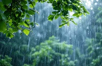 ২৪ ঘণ্টায় বরিশালসহ তিন বিভাগে বৃষ্টির আভাস