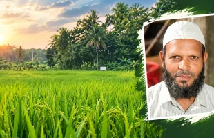 পিরোজপুরে মন্দিরের ভূমিতে জামায়াত নেতার ধান চাষ! দখলের অভিযোগ