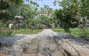 বরিশাল সরকারি কলেজের পুকুর ভরাট, পরিবেশ অধিদপ্তরের আলটিমেটাম